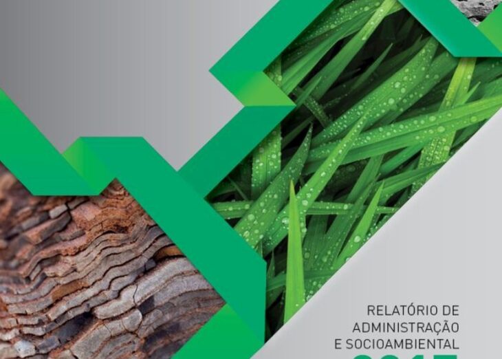 Relatório de Administração e Sustentabilidade do BRDE de 2017