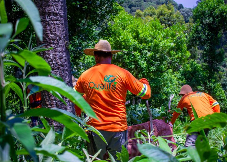 Projeto de erva mate orgânica financiado pelo BRDE expande fronteiras e recebe certificações internacionais