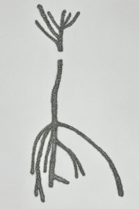 Segredos Desvelados:O Invisível dos Corpos em Liberdade e Motivos ficarão abertas ao público até 31 de janeiro Foto: Cortesia da artista