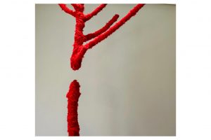 Segredos Desvelados:O Invisível dos Corpos em Liberdade e Motivos ficarão abertas ao público até 31 de janeiro Foto: Cortesia da artista