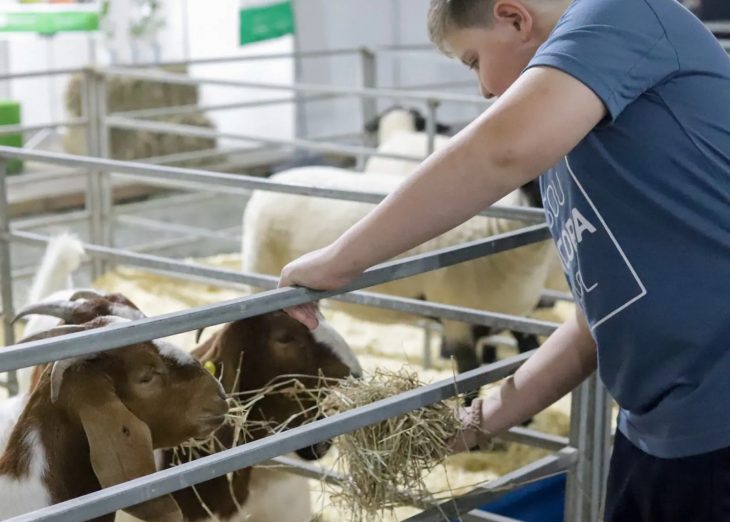 BRDE apoia AgroPonte 2025 e fortalece o desenvolvimento do agronegócio em SC