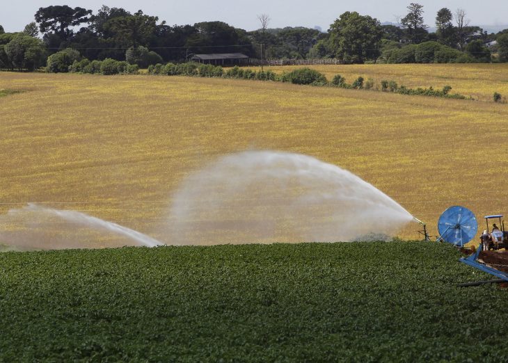 BRDE injeta R$ 133,4 milhões no desenvolvimento e sustentabilidade no campo em 2025