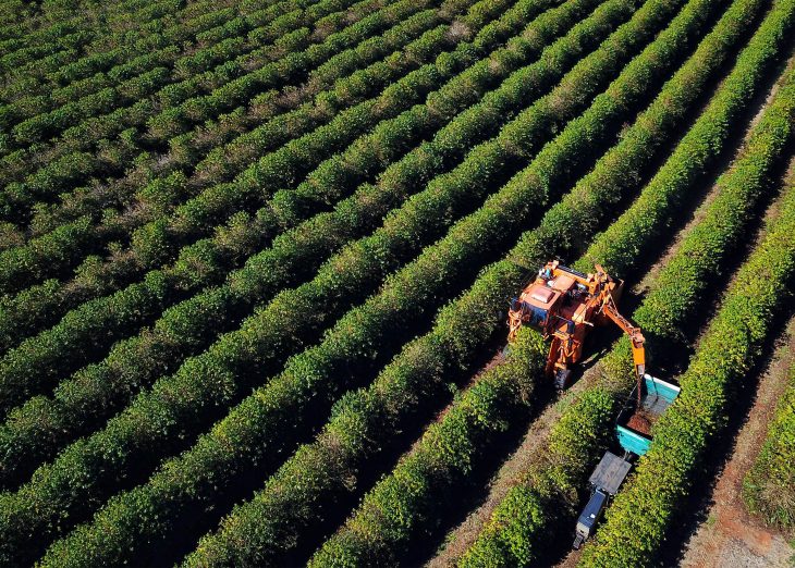 Agronegócio somou R$ 1,26 bilhão em contratações do BRDE no Paraná em 2025