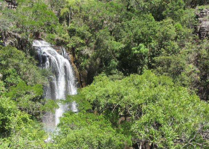 Paraná divulga relação final de reservas naturais do edital de créditos de biodiversidade